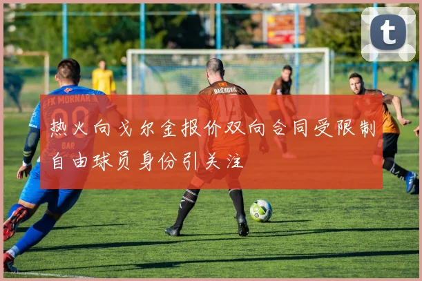 热火向戈尔金报价双向合同受限制自由球员身份引关注