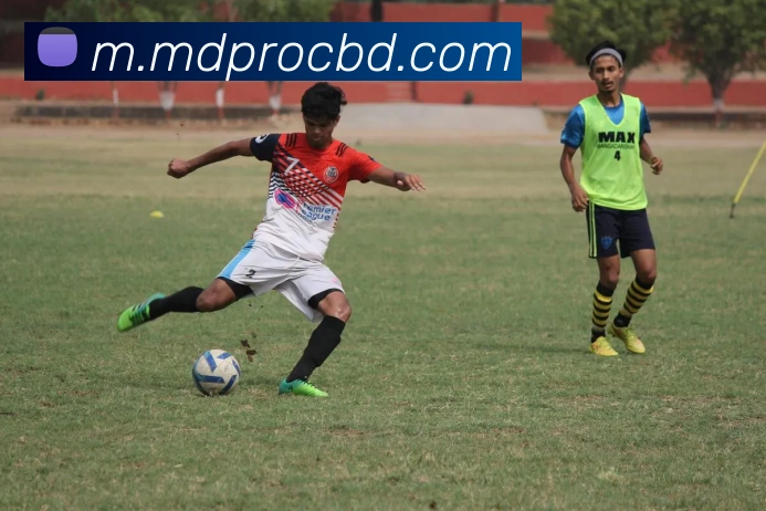 乐鱼网页版发展历程